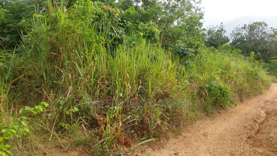 Well Located 4plots of Land at Kwabere Kasaam for Sale