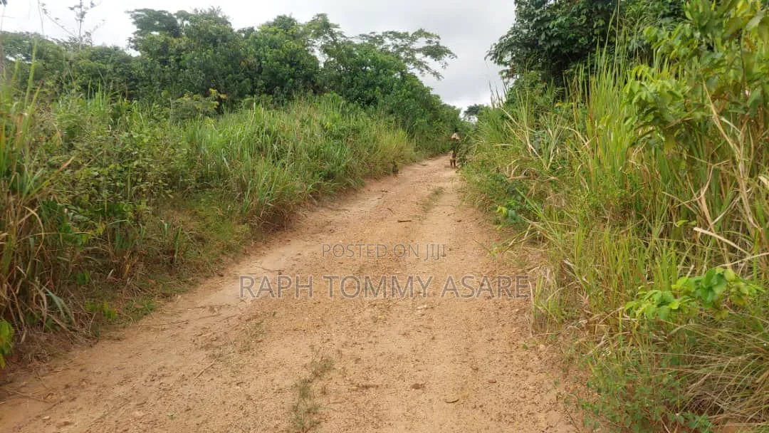 Well Located 4plots of Land at Kwabere Kasaam for Sale