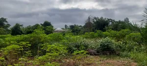 Litigation Free Land for Sale at Kwabere Kasaam