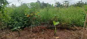 Litigation Free Land for Sale at Kwabere Kasaam