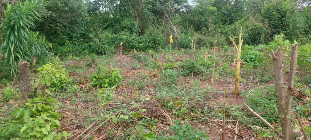 Litigation Free Land for Sale at Kwabere Kasaam