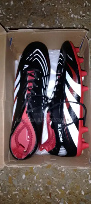 Adidas Predators