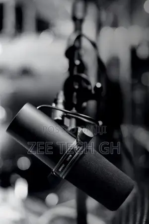 Shure Sm7b Professional Podcast Microphone