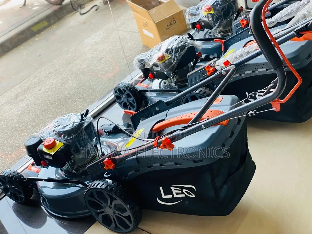 Shop for Leo 5.5hp -Lm51z-2l Lawn Mower