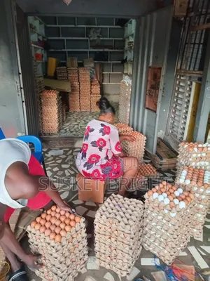 Fresh Farm Eggs (Crates) – Quality Supply Wholesale Deals.