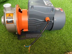 Leo Surface Water Pump
