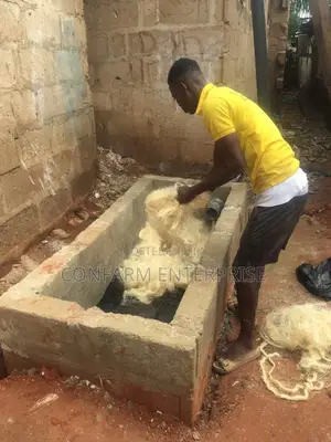 Bio-Digester Constructions Company,