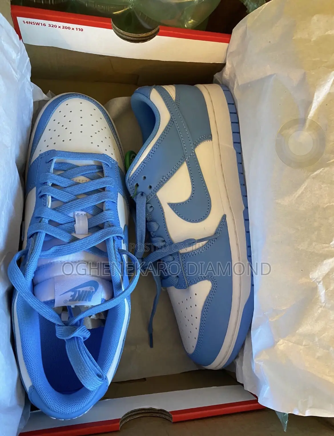 Nike Dunk Blue Shoe