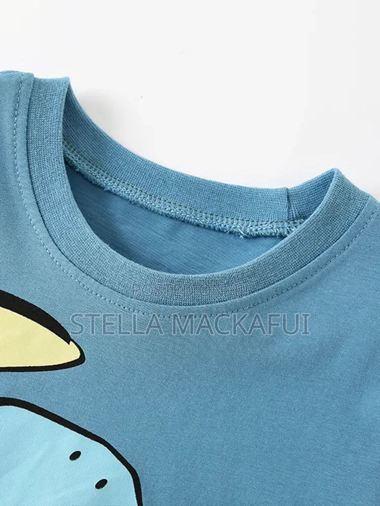 Beautiful T-Shirt for 4-6yrs Only
