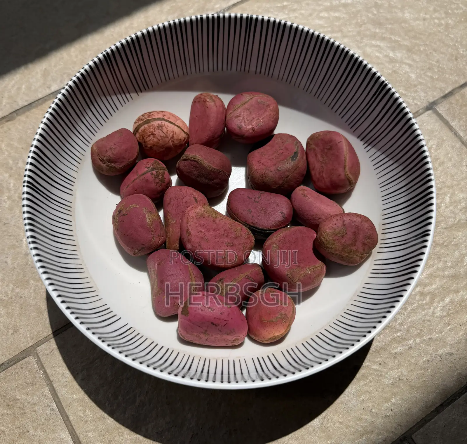 Fresh Cola Nut
