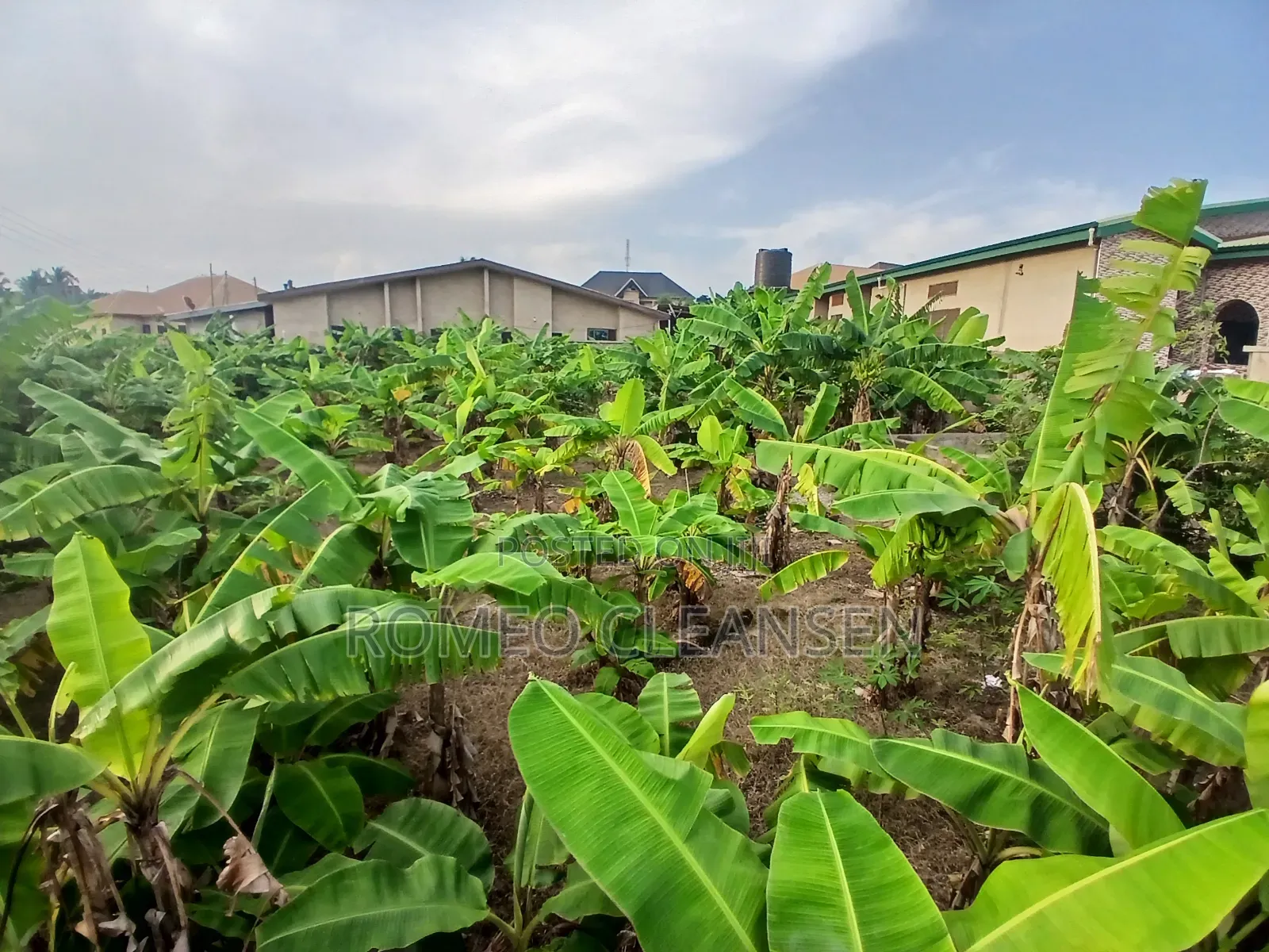 Full Plot of Land for Sale in Kumasi Atonsu Aputuogya