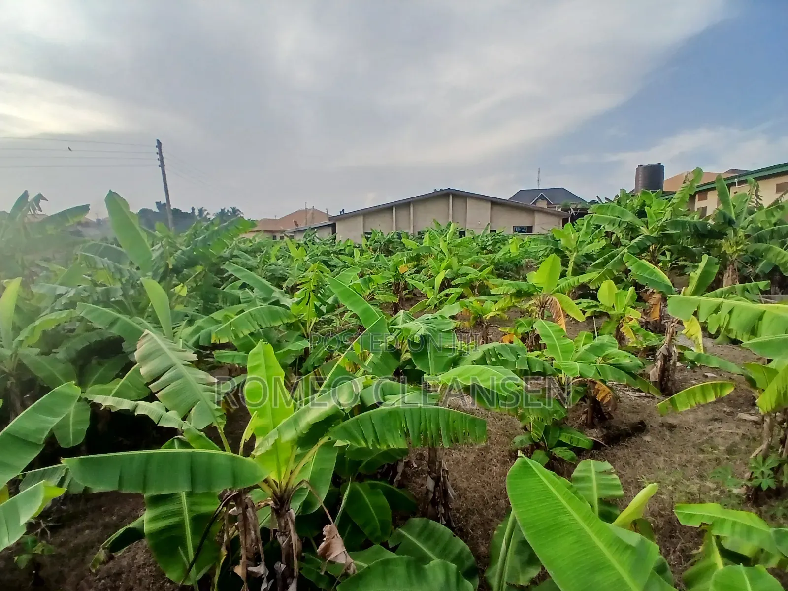 Full Plot of Land for Sale in Kumasi Atonsu Aputuogya