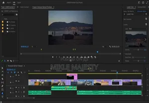 Adobe Premiere Pro 2025 Bundle for Windows and Macbook