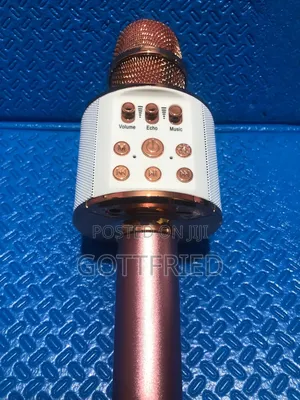 Q98 Wireless Karaoke Microphone With Speaker