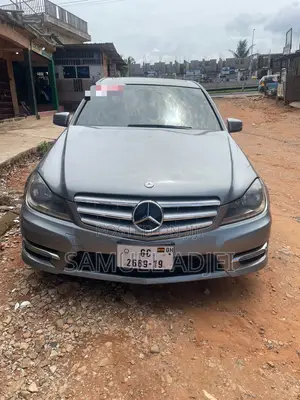 Mercedes-Benz C250 2014 Silver