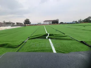 Grass For Football Pitch