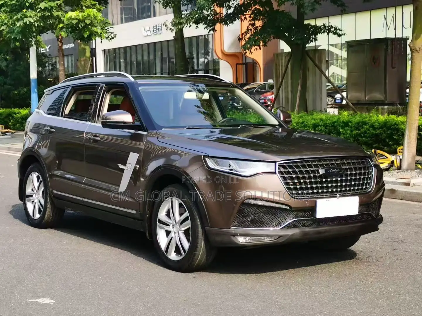 Zotye T700 2017 Brown