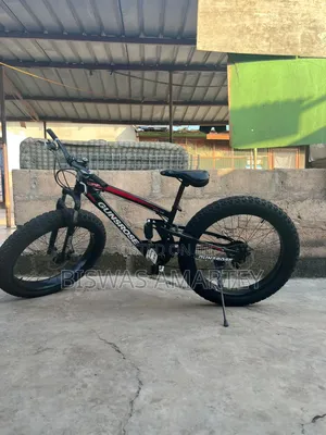 Fat Tyre Bicycle