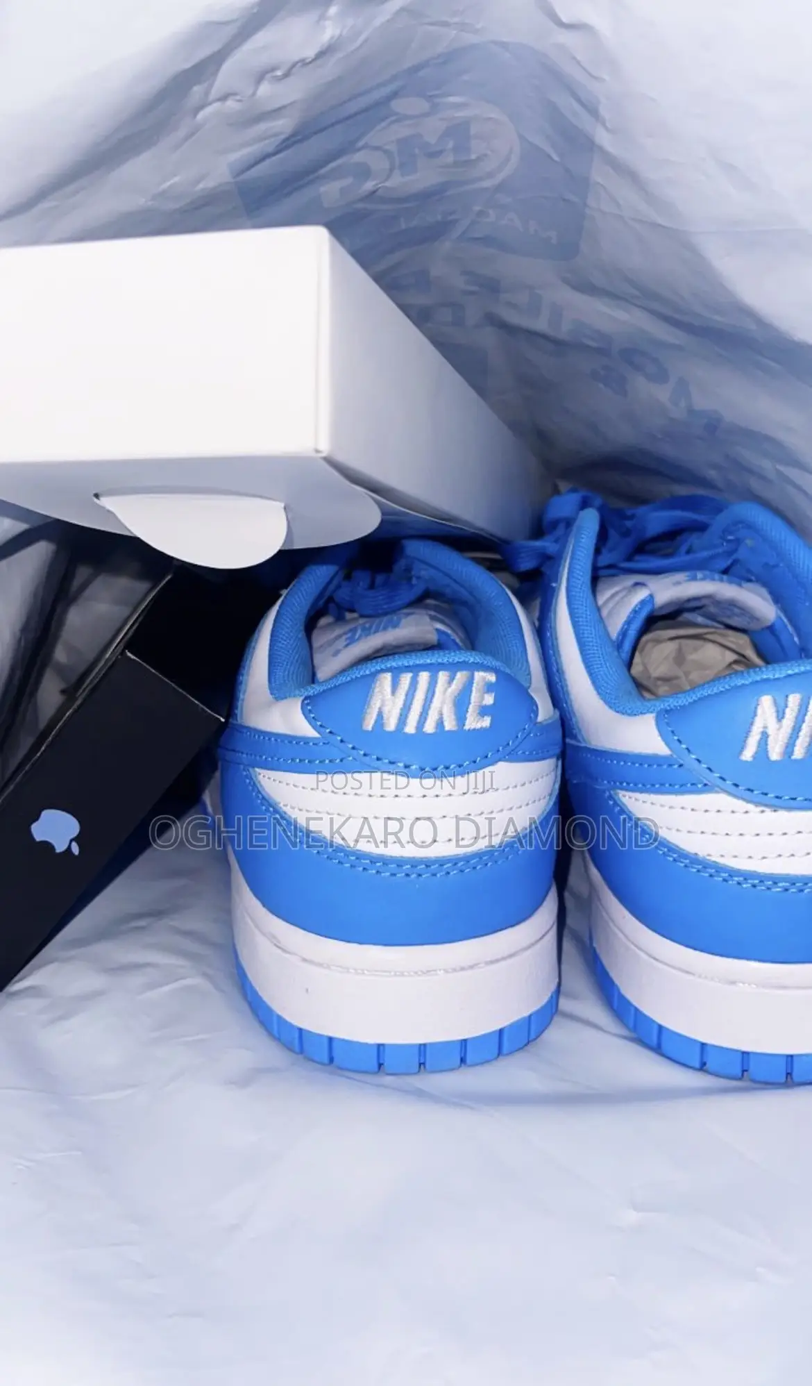 Nike Dunk Blue Shoe