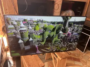 Sony Android Smart Tv (55)