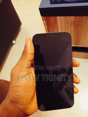 Apple iPhone 12 Pro Max 128 GB Blue