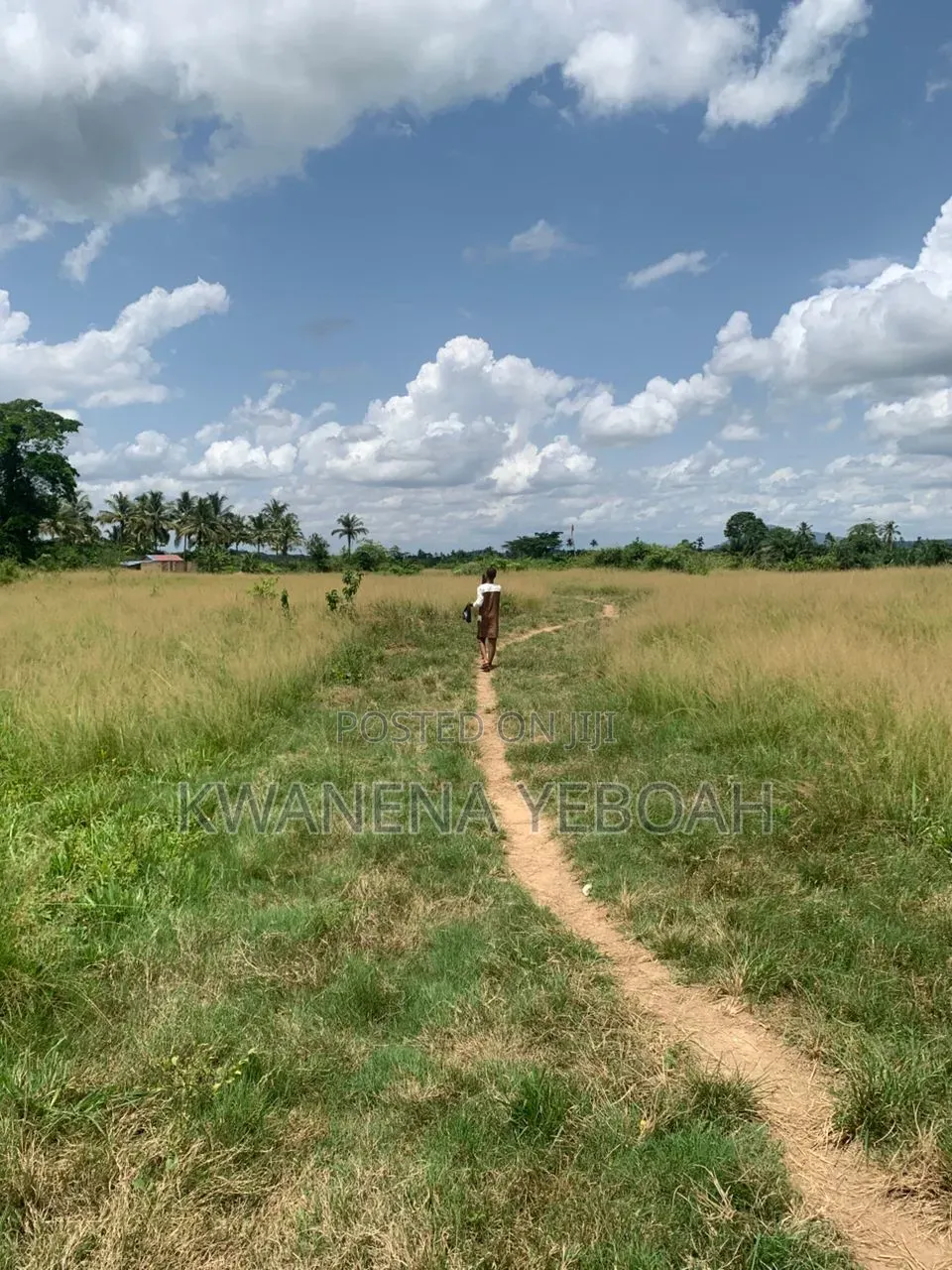 40 Acres Plot of Land for Sale
