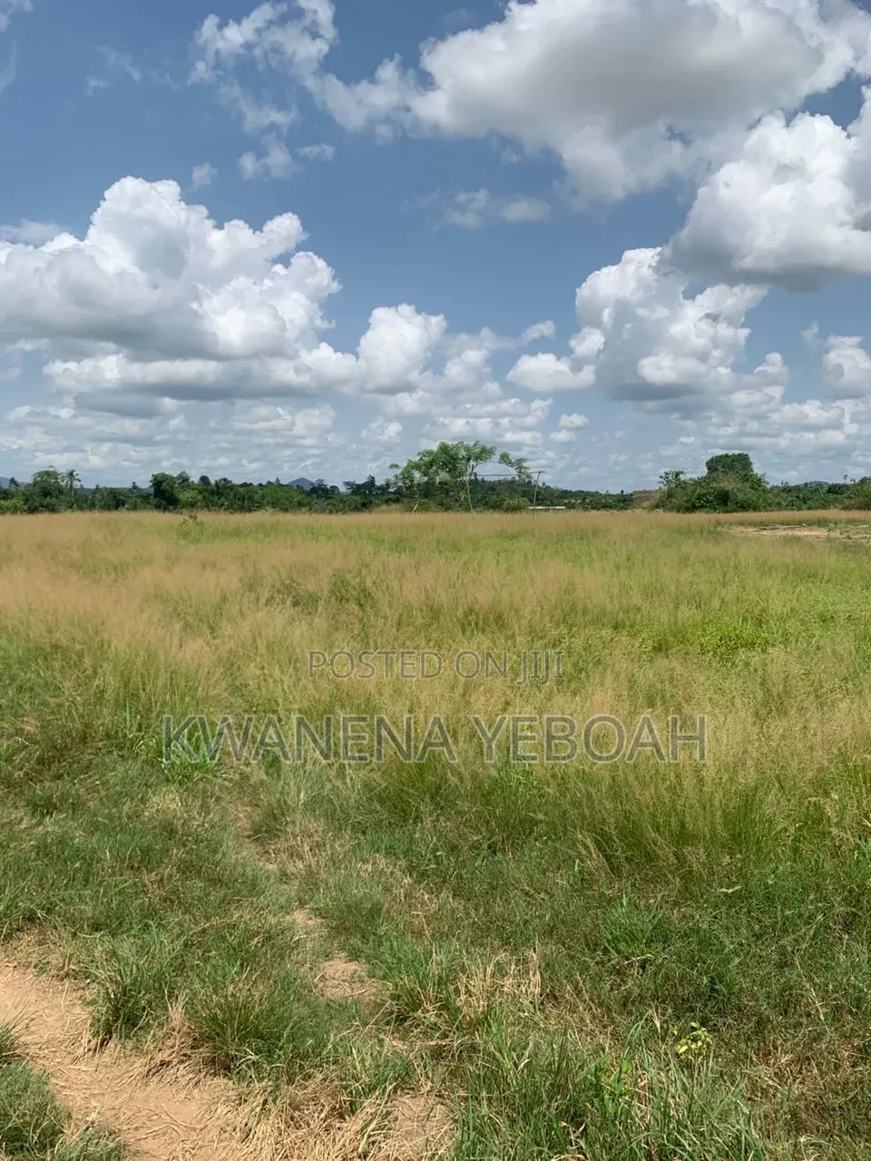 40 Acres Plot of Land for Sale