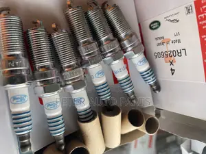 Ford Fusion V6 Spark Plugs. Original