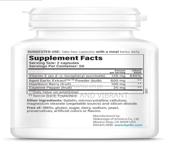 Kyolic Aged Garlic Extract Formula 106 Circulation Health 100 Capsules