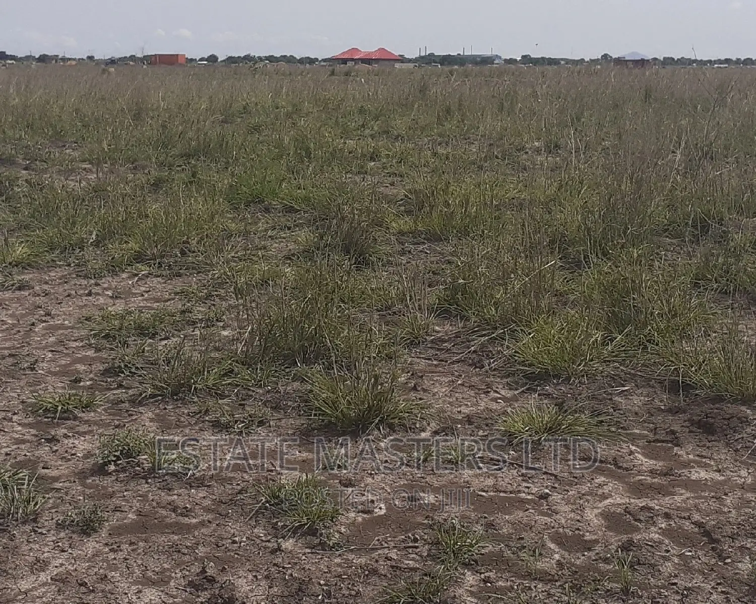 Flat Sales on Genuine Land