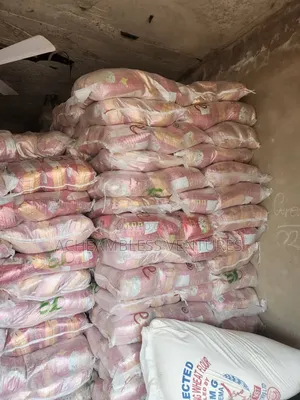 Basmati Rice for Sale