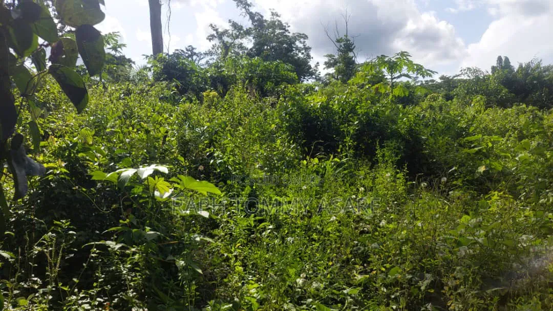 17 Acres of Farmland Available at Bayerebon Around Bibiani Road
