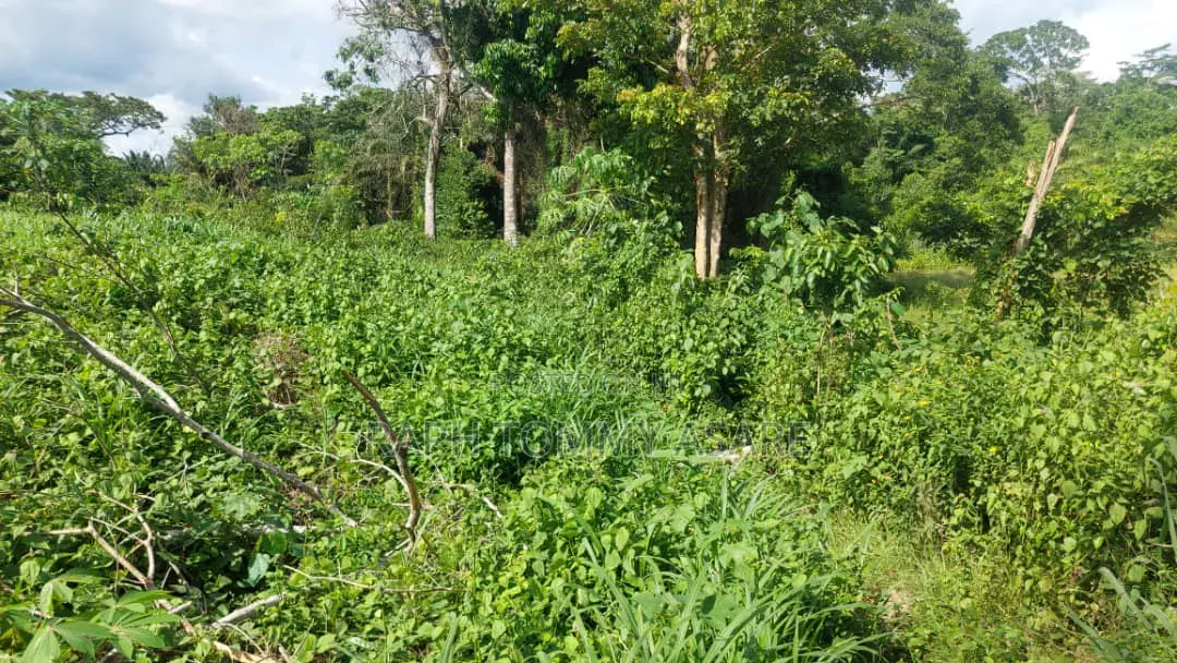 17 Acres of Farmland Available at Bayerebon Around Bibiani Road