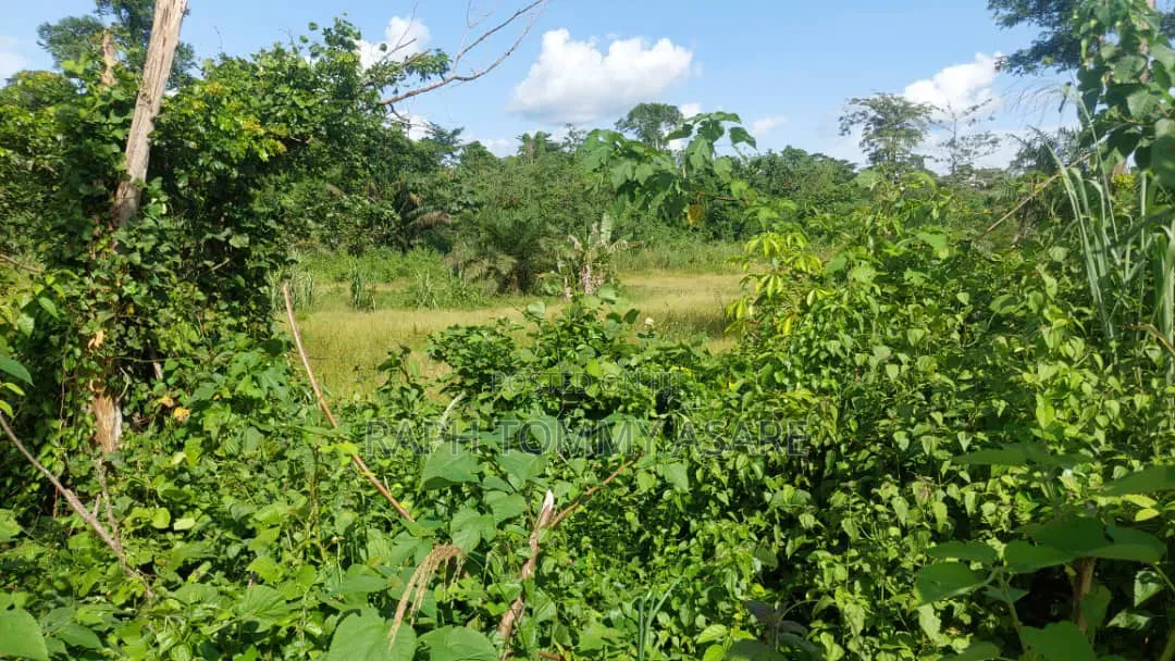 17 Acres of Farmland Available at Bayerebon Around Bibiani Road