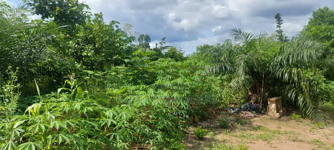 17 Acres of Farmland Available at Bayerebon Around Bibiani Road