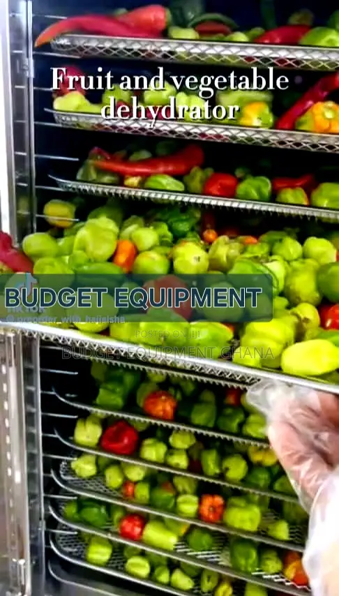 Commercial Dehydrator