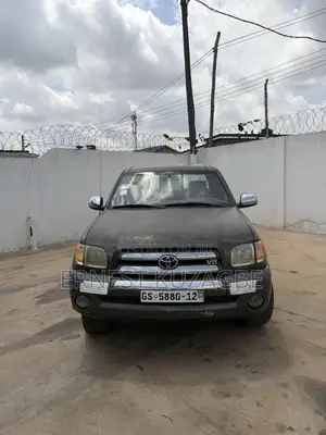 Toyota Tundra 2010 Gray