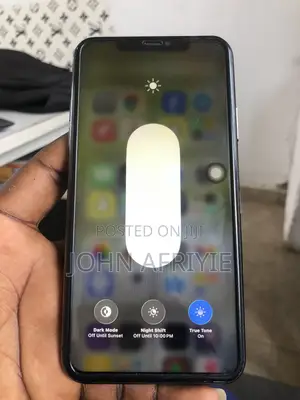 Apple iPhone 11 Pro Max 256 GB Gray