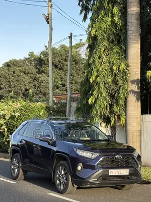 Toyota RAV4 2019 Blue