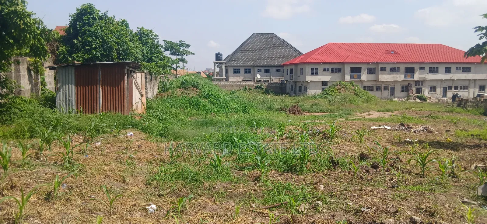 Land for Sale at Tech Apemso Near Knust Campus