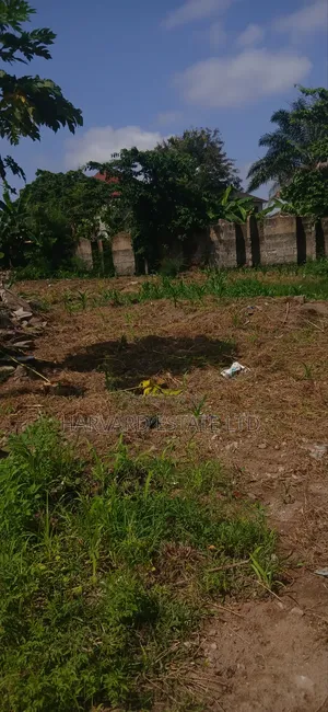 Land for Sale at Tech Apemso Near Knust Campus