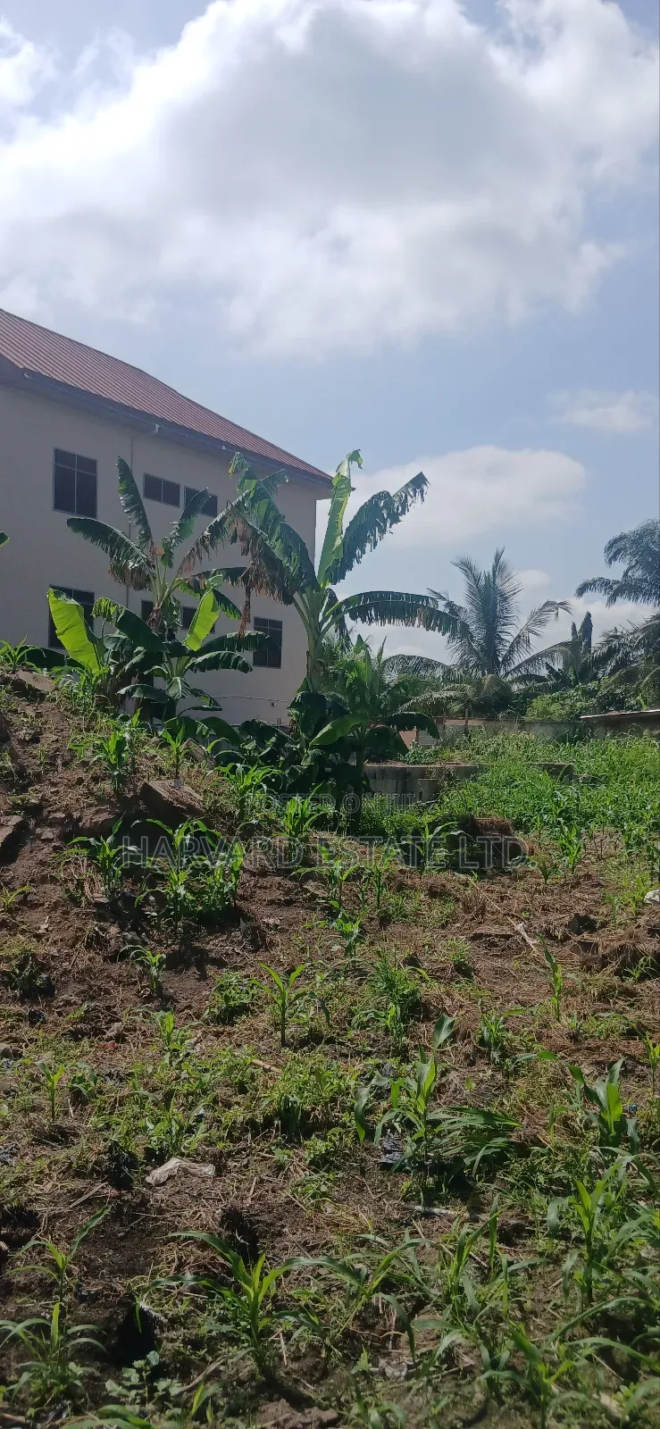 Land for Sale at Tech Apemso Near Knust Campus