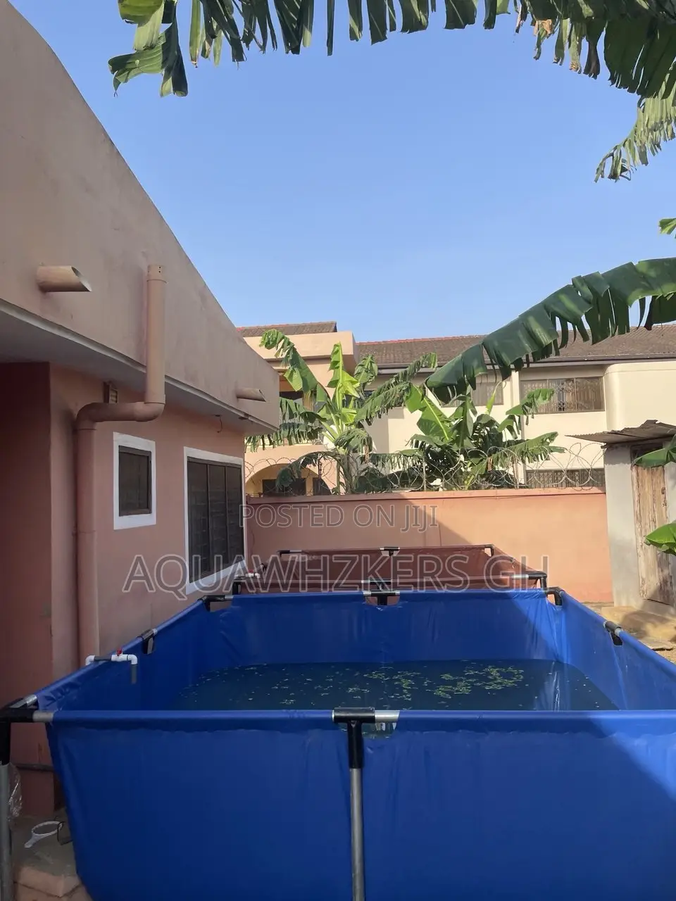 Kickstart Your Fish Farming Jorney With Us