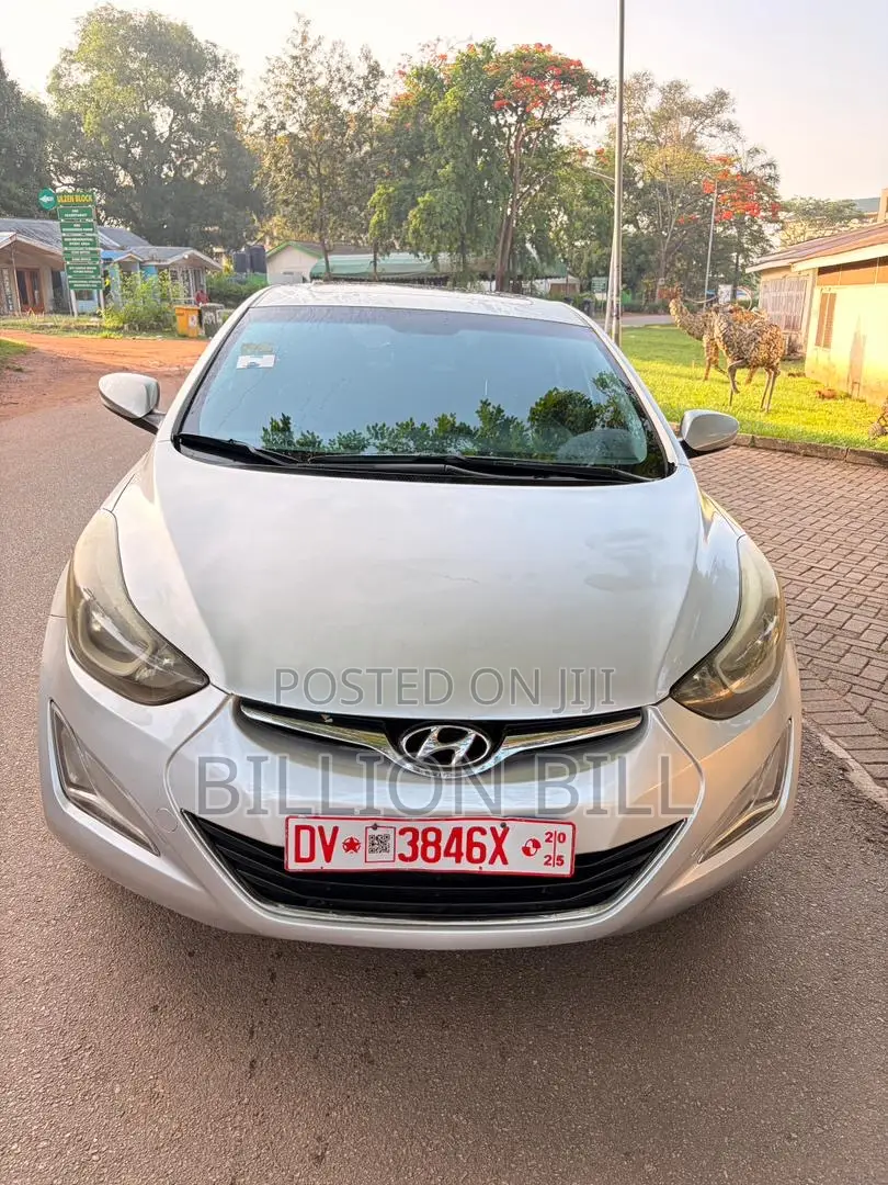 Hyundai Elantra 2014 Silver