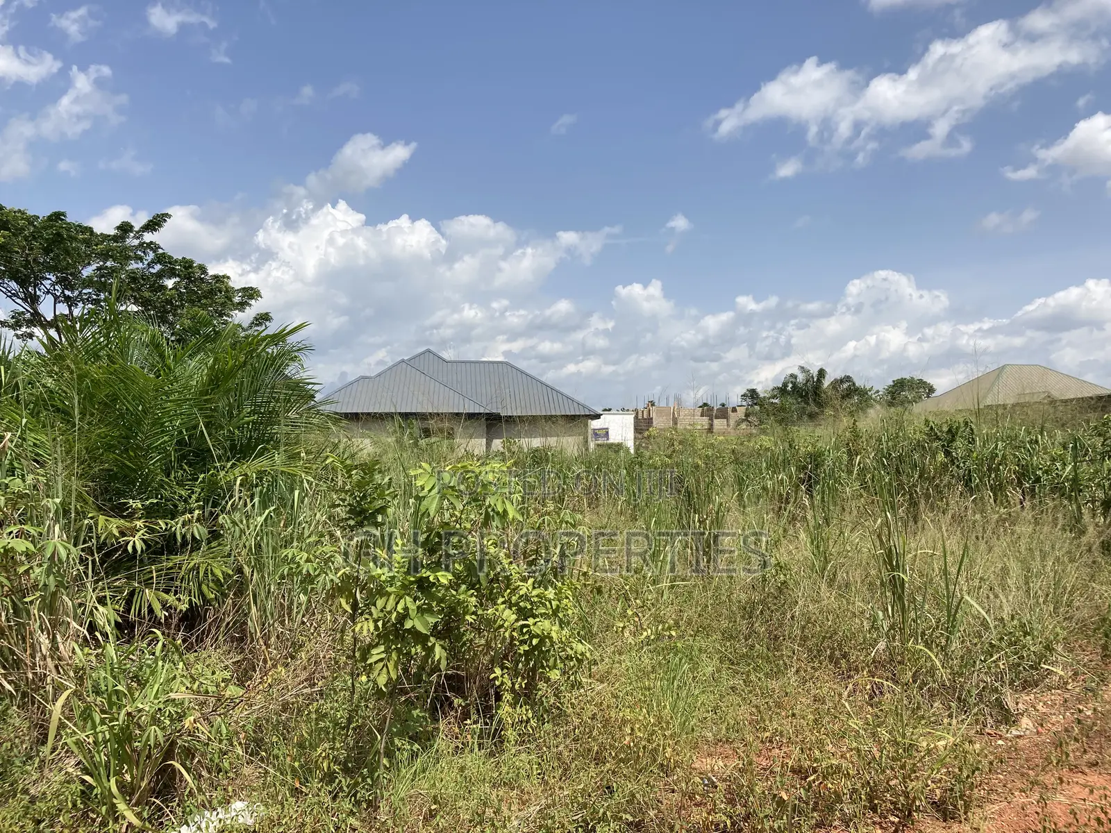 Half Plot for Sale at Sokoban,Ampaame Hills