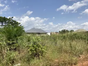 Half Plot for Sale at Sokoban,Ampaame Hills