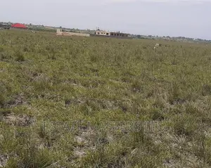 Exclusive Registered Plots
