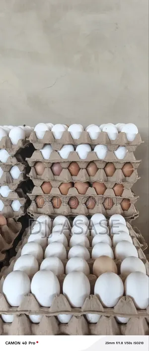 Fresh Eggs Available