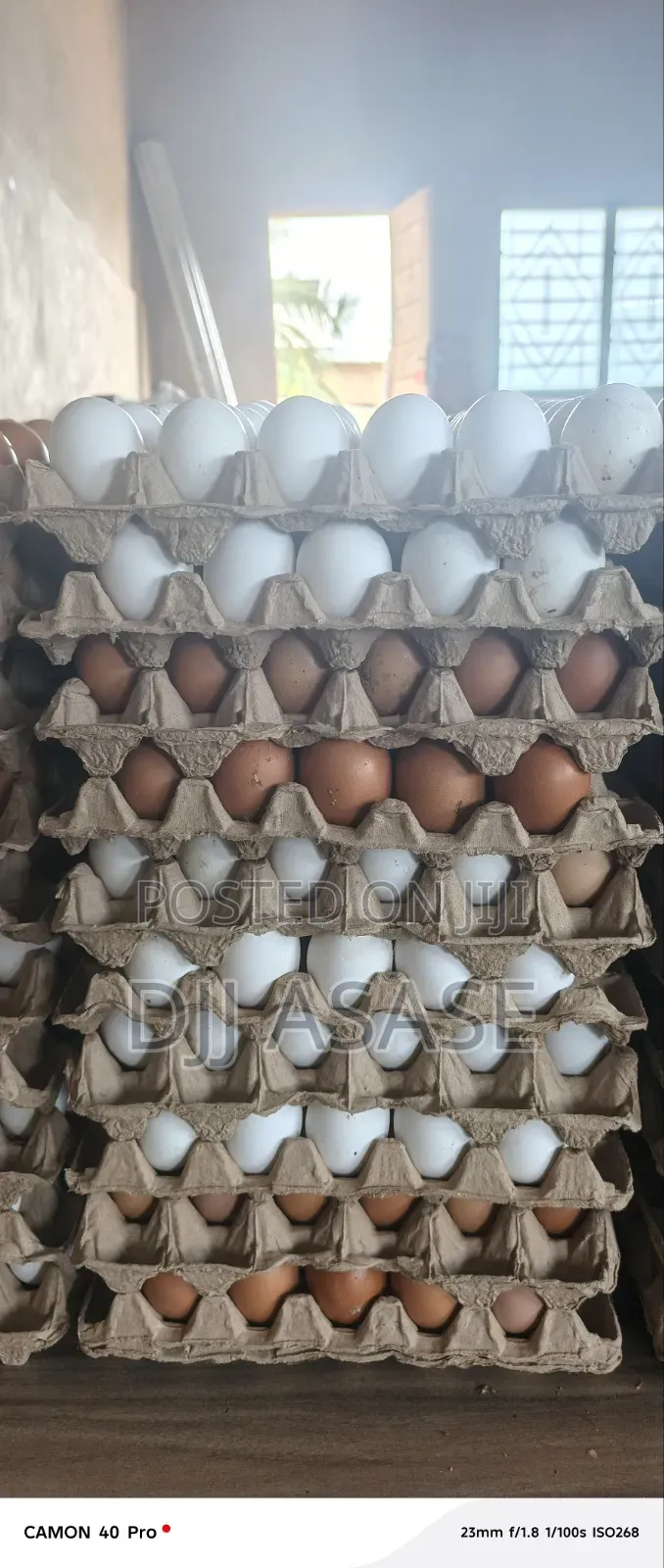 Fresh Eggs Available