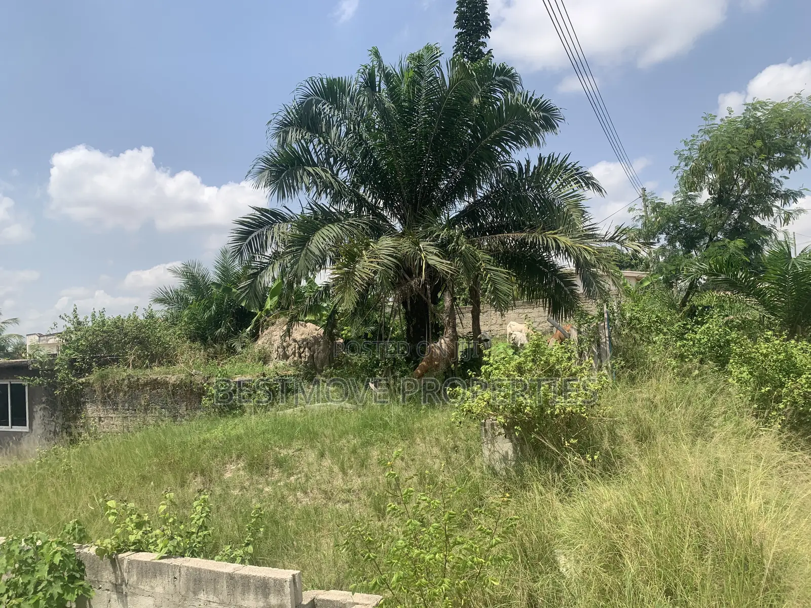 Landed Property for Sale at Sepe Dote